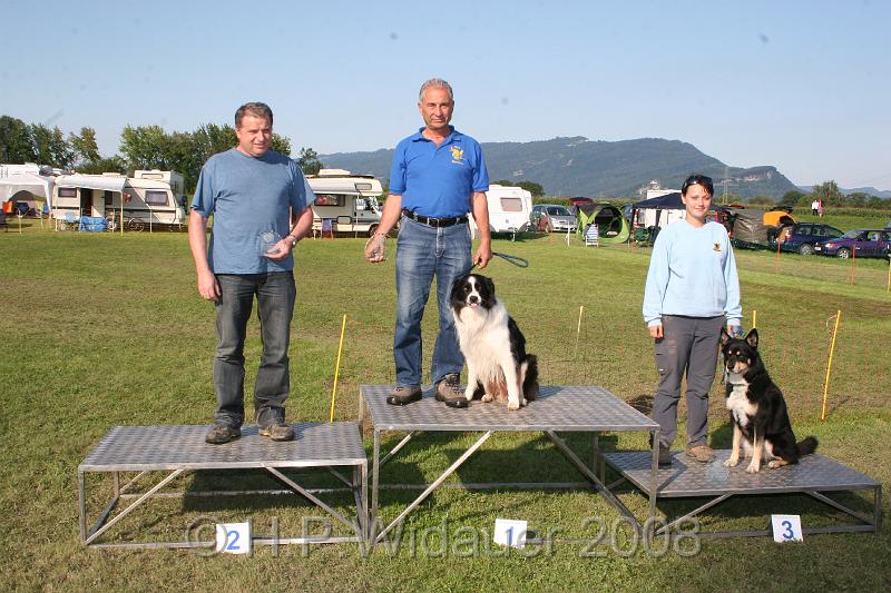 jubil.lusten. 384.jpg